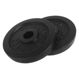 Tunturi Σετ Δίσκοι 2,5kg για Μπάρα 30mm ζεύγος