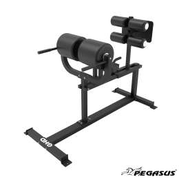 Pegasus® Πάγκος Ραχιαίων GHD (Λ-649)
