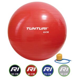 Tunturi Μπάλα Γυμναστικής 65cm Κόκκινο