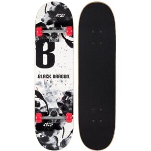 Skateboard Street Natives BZR (52NS-BZR)
