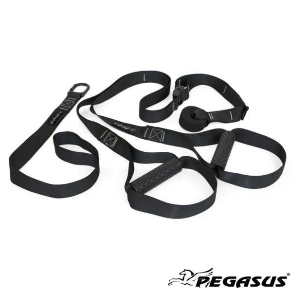 Pegasus® Ιμάντες Ενδυνάμωσης (Suspension Trainer) (Β 0999)
