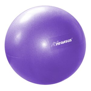 Pegasus® Μπάλα Γυμναστικής Pilates 25cm (Μωβ) (Β-1510)