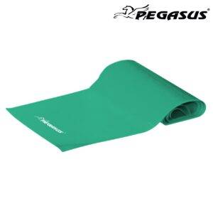 Λάστιχο Ενδυνάμωσης Κορδέλα Pegasus® (Medium) ( Β 6308-M)