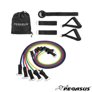 Σετ Λάστιχα Ενδυνάμωσης με Λαβές Pegasus® (Β 6333)