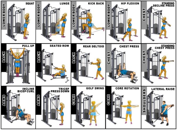 Exercise chart 3 ace18c6b 32a1 4154 9e20 c416eec10b35