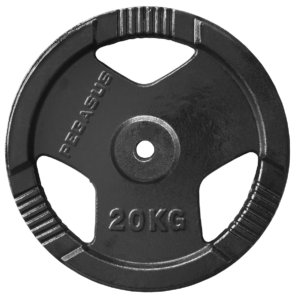 Ελεύθερα Βάρη Δίσκος Σφυρήλατος Ø29 (20 kg) (Β-0106)
