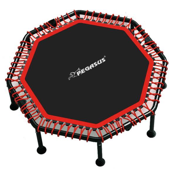 Pegasus® Οκτάγωνο τραμπολίνο 48" (122cm) (Β 4503)
