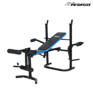 Pegasus Bench 206C 03ec33b7 4145 4205 b943 4779915fc035