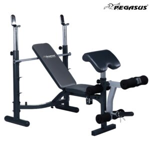 Pegasus Bench JX 764 main b488603f bd95 4e4f b323 e2f5a2845efa