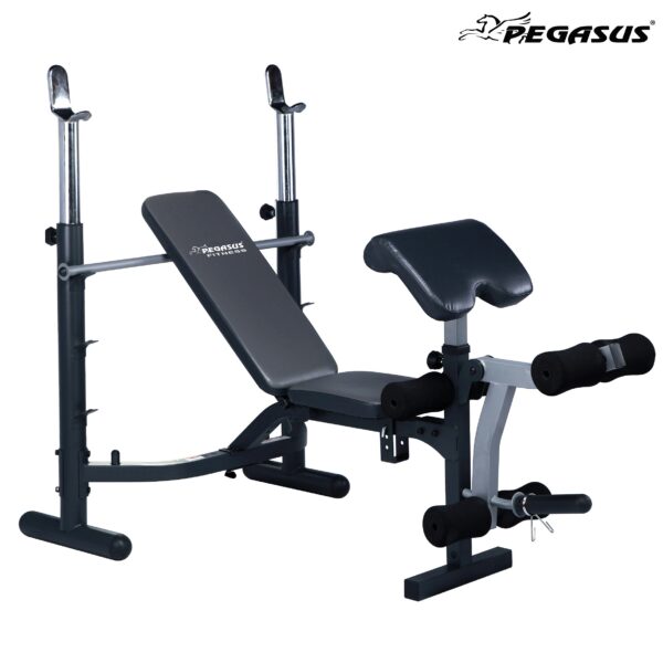 Pegasus Bench JX 764 main b488603f bd95 4e4f b323 e2f5a2845efa