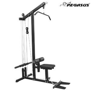 Pegasus HCLT2064 main 0c4957f0 26af 4934 9421 cfafff2d65c3