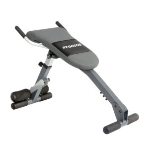 Pegasus Sit up bench waist exercise machine fitness 7b2d928f 424a 41a3 be89 926e8c27eb0b
