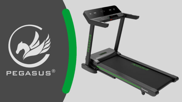 Pegasus Tempest MT2451 2 d43f8b32 0428 49da bfd8 00365adf2f00
