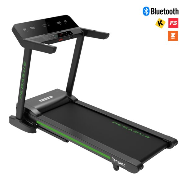 Pegasus Tempest MT2451 main 061e06ef 29ae 48b9 89bd 7ee17d576259 scaled