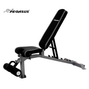 Pegasus VB main 88d82104 0ad4 44e9 87a7 f35cb21b0cd2