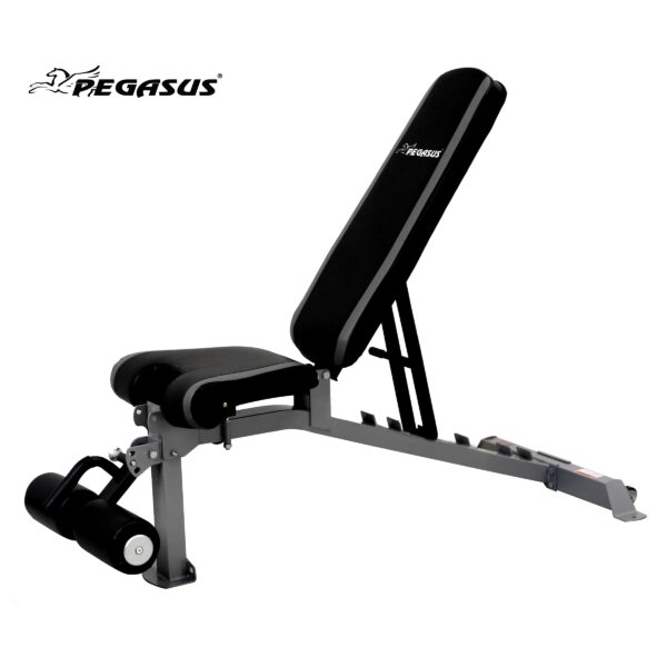 Pegasus VB main 88d82104 0ad4 44e9 87a7 f35cb21b0cd2