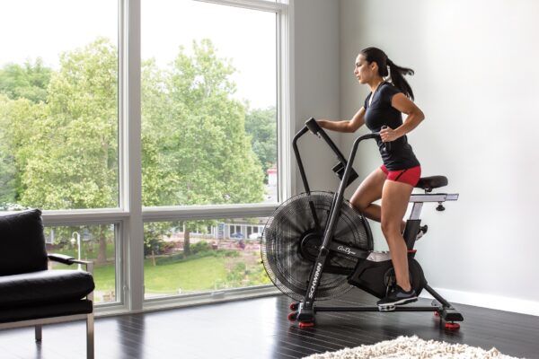 schwinn airdyne ad8 48ME5 f10c7b68 2ad3 4acf a681 f4307103f1ee