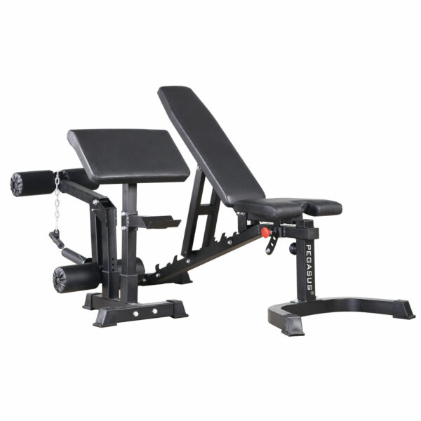 Pegasus HCLT 3002 2000x2000 dad92ae1 b29f 406a 856d 83965c6c6fa9