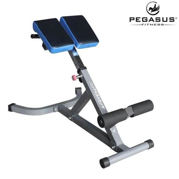 Pegasus LRK 904 Square 7038506e a93b 4e09 a8f5 ea35b1009ef4