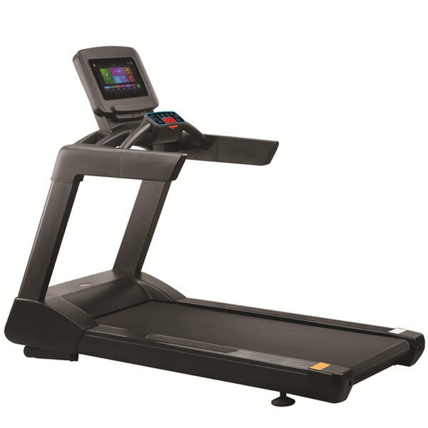 Viking Επαγγελματικός Διάδρομος Pro 7 e Treadmill