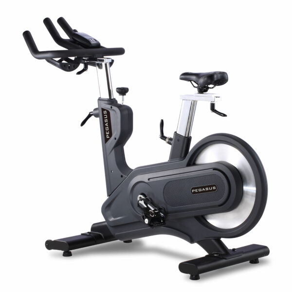 Spinning Bike S12 V3 (Ρ-3640) Ρ 3640 Pegasus