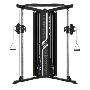Pegasus® Functional Trainer FT-300 (Λ-5422)
