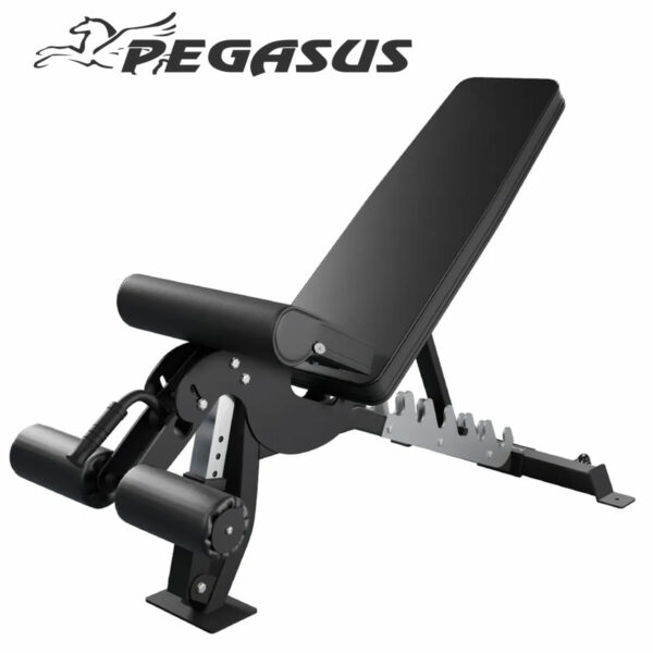 Pegasus OK9101C Square 00 d107bf36 7aa3 4113 8ab8 ab8931a45a83