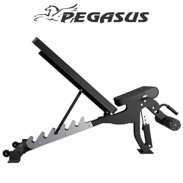 Pegasus OK9101C Square 01 b756c371 7e57 48d2 8400 757d50f0023b