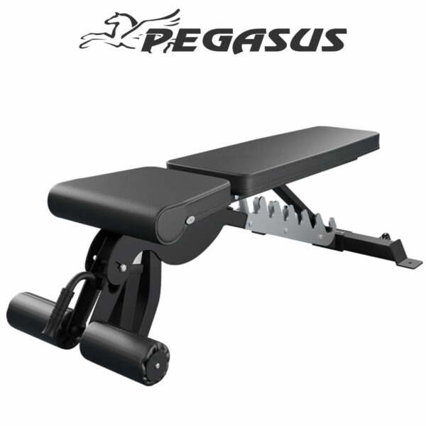Pegasus OK9101C Square 02 6faa5836 fdef 4ec6 8a71 d357fe2799c7