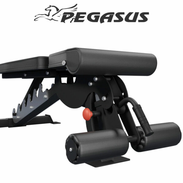 Pegasus OK9101C Square 03 c35c377c d1a9 4619 a4c9 95c38a383d93