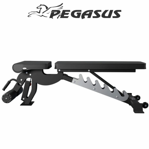 Pegasus OK9101C Square 04 dc069329 da65 43dd 830d 13b9d09b1765
