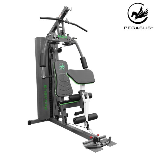 Pegasus HG2 a7b86ddc 11b8 44f1 a13d 479bbc797a7a