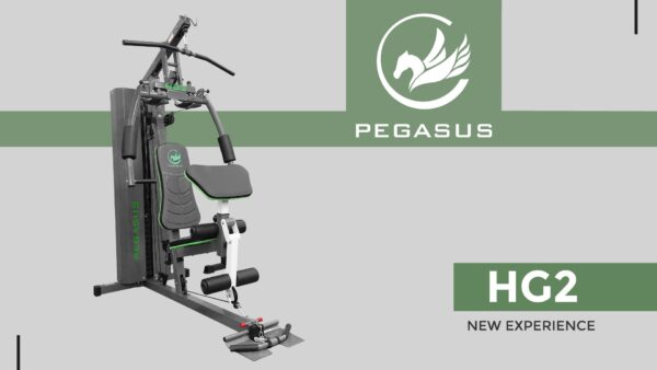 Pegasus HG2 prism dfcf8593 42ef 44ee a0f9 533568dfa5ae