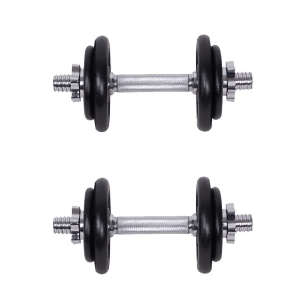 ΑΛΤΗΡΕΣ ΣΕ ΘΗΚΗ 20KG OPTIMUM - Image 2