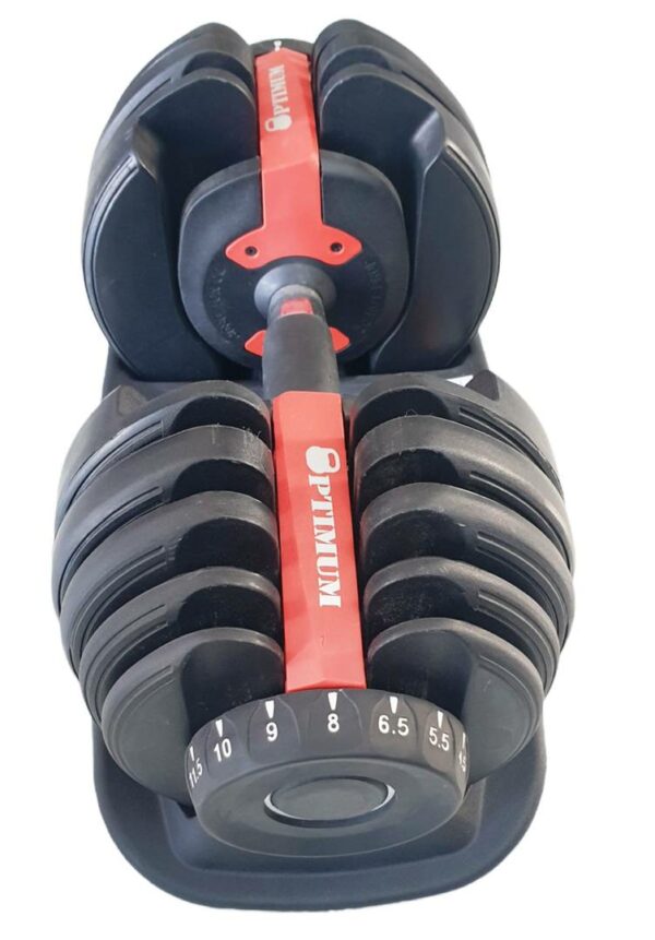 ΡΥΘΜΙΖΟΜΕΝΟΣ ΑΛΤΗΡΑΣ 2,5-24kg OPTIMUM - Image 4