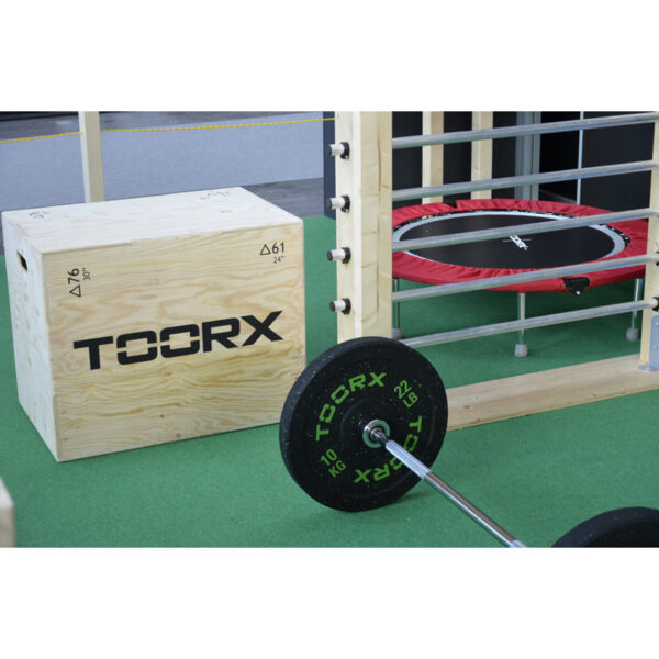 Ολυμπιακός Δίσκος Bumper Crumb 25kg 45cm Toorx - Image 2