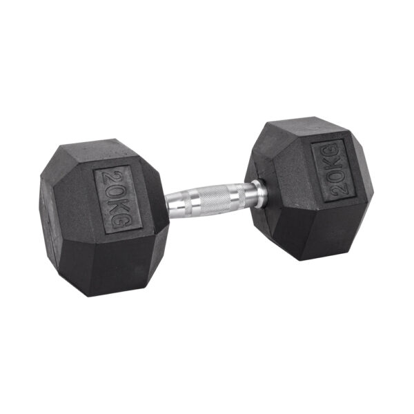 ΑΛΤΗΡΑΣ ΕΞΑΓΩΝΟΣ 20kg inSPORTline