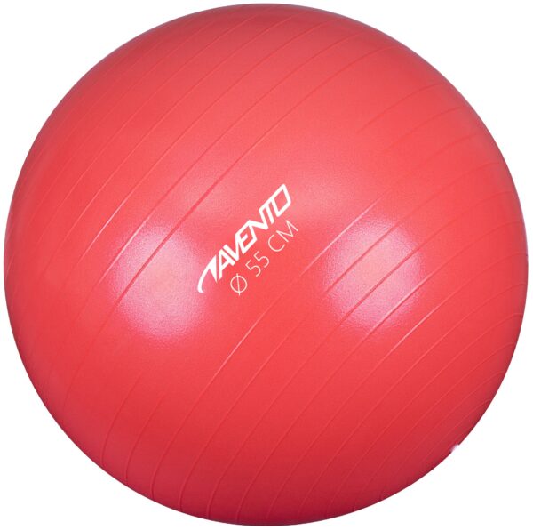 Avento® Μπάλα Γυμναστικής (55 cm) (42ΟΑ)