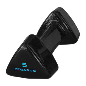 Pegasus® Τρίγωνος Αλτήρας Vinyl 5kg PG-1005 (393600505)