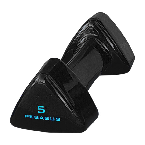 Pegasus® Τρίγωνος Αλτήρας Vinyl 5kg PG-1005 (393600505)
