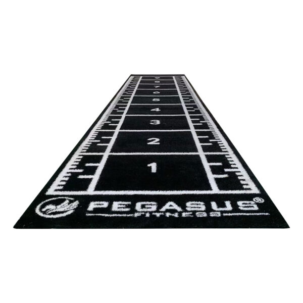 Pegasus® Συνθετικός Χλoοτάπητας (μαύρος) (321031591)