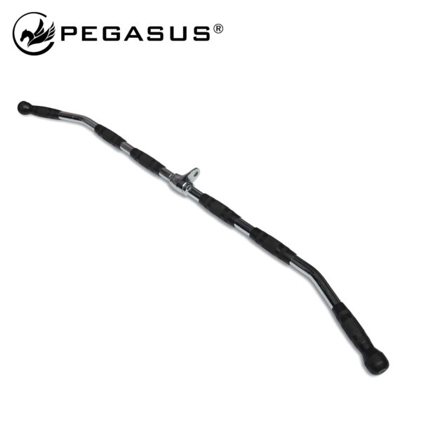 Pegasus® Λαβή Πλάτης  PG-1134 (393113400)