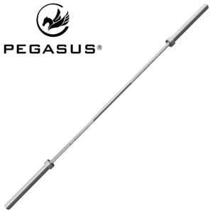 Pegasus Ολυμπιακή μπάρα 2200mm*28mm (42 CRMO/20kg) (390318131)