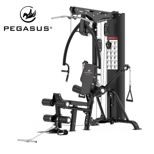 Πολυόργανο Pegasus® HG8 (308878800)