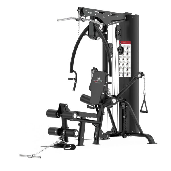 Πολυόργανο Pegasus® HG8 (308878800) - Image 2