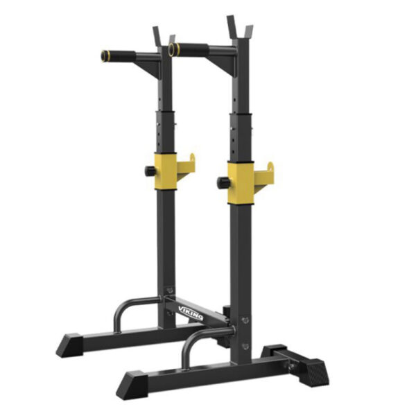 Viking SR-22  Stand and Dip Station