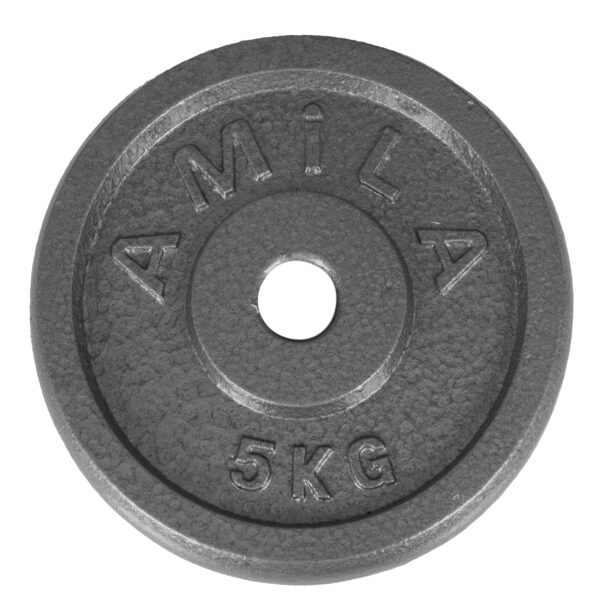 Δίσκος Amila 28mm εμαγιέ γκρι 5kg 44479