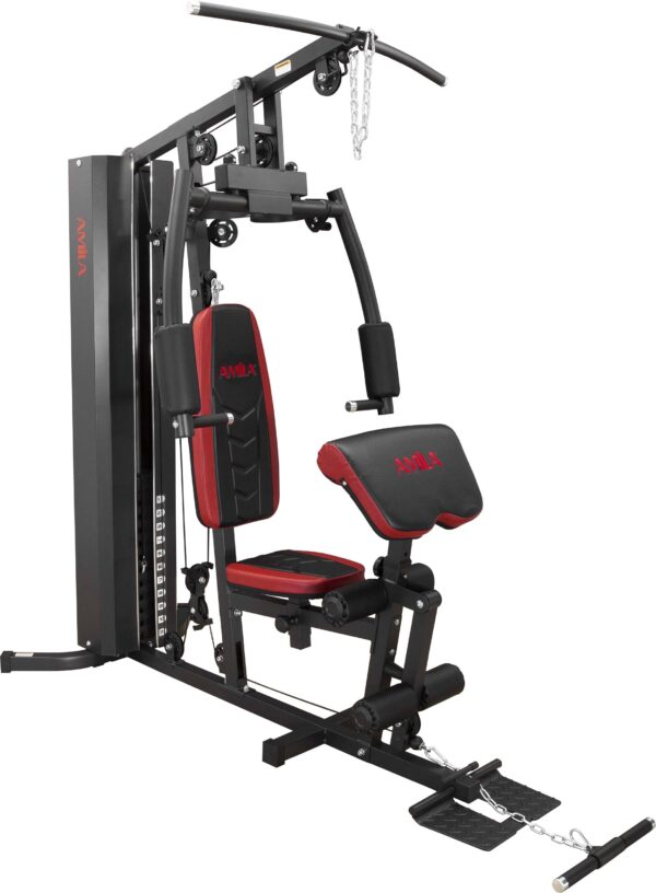 Πολυόργανο Amila HG650 91209