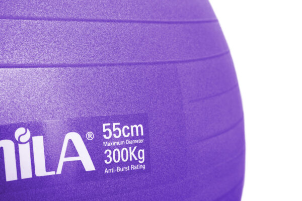 Μπάλα Γυμναστικής AMILA GYMBALL 55cm Μωβ - Image 2