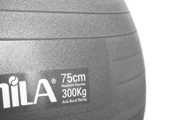 Μπάλα γυμναστικής AMILA GYMBALL 75cm Γκρι - Image 2